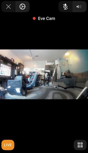 eve cam feed