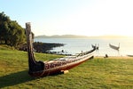 Māori participation in IT: diversity insights for CIOs