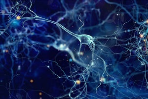 Accelerating Brain Mapping with AI and HPC