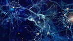 Accelerating Brain Mapping with AI and HPC
