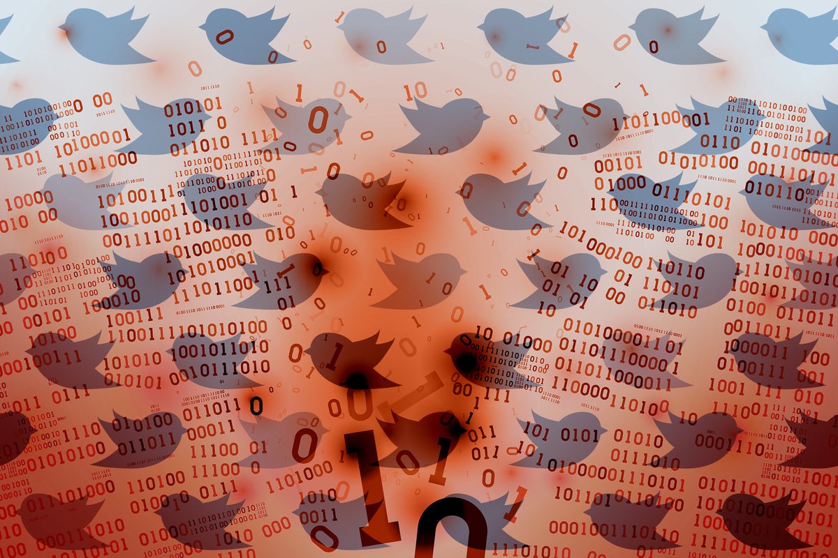 Image: Muskâs Twitterverse and the future of misinformation