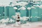 Why we multicloud