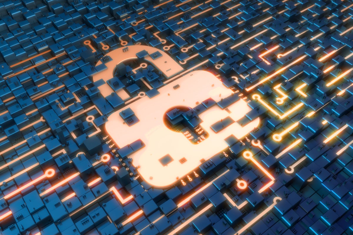Cybersecurity  >  abstract network of circuits data and lock