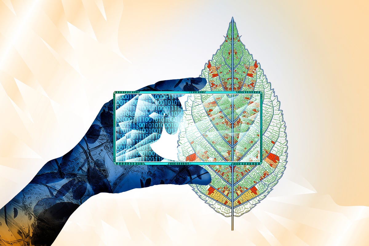 Image: How COVID contingency best practices can help save the planet