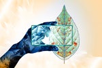 How COVID contingency best practices can help save the planet