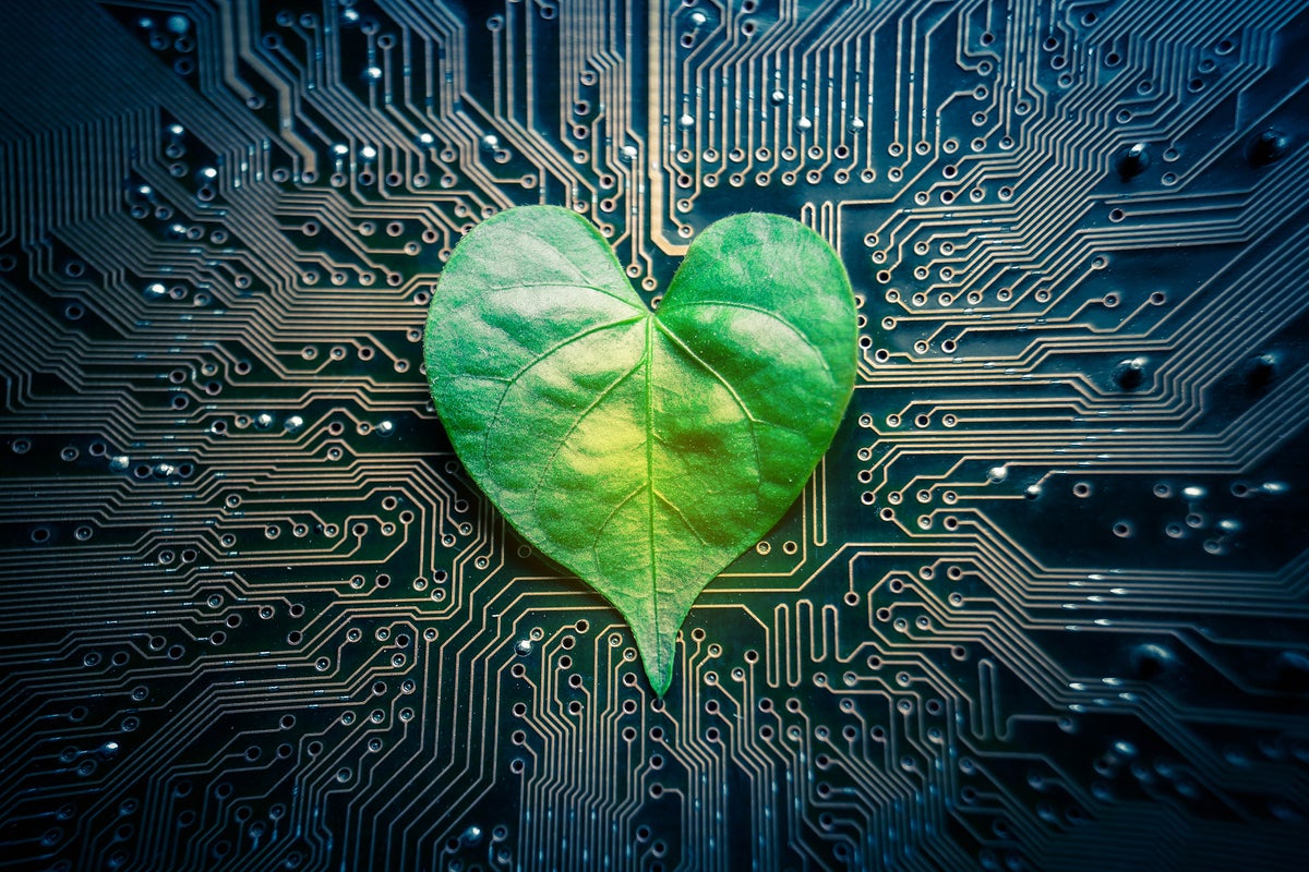 A heart-shaped leaf lies on a circuit board. [Green IT / environmental impact / climate change]