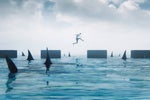 Redefining IT risk in post-pandemic world