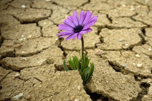 How to build a resilient IT culture