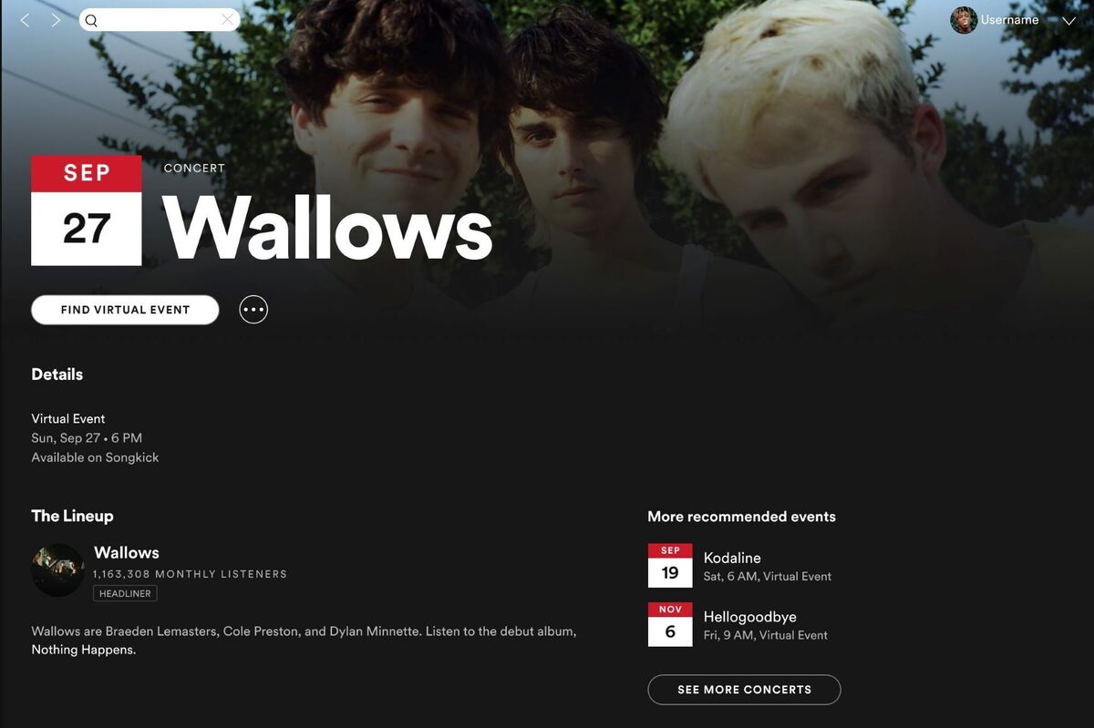 Spotify now lists virtual concerts by your favorite artists | TechHive