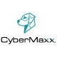 The Future of Cybersecurity in Healthcare