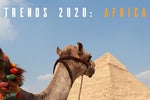 Africa 2021: Improved infrastructure needed for post-pandemic recovery