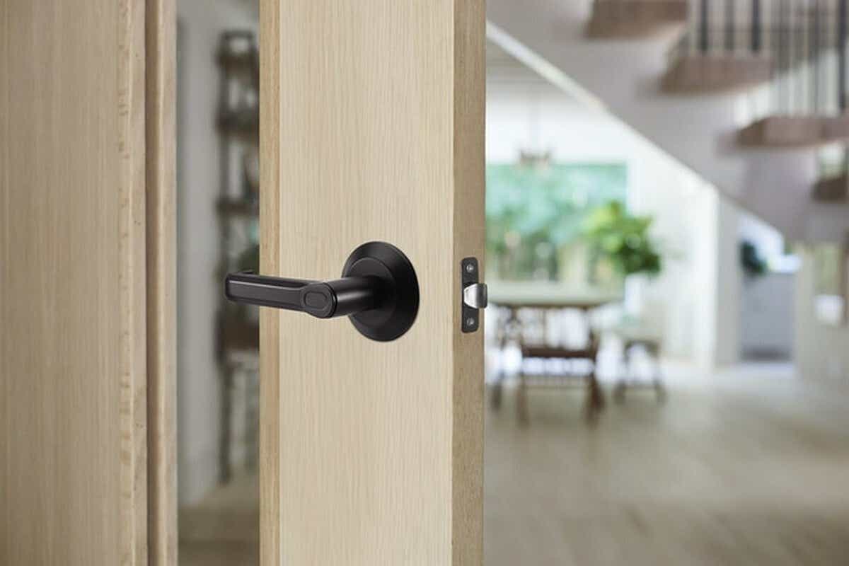 BrillLock Fingerprint Door Lock