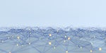 The Revolution Will be Networked