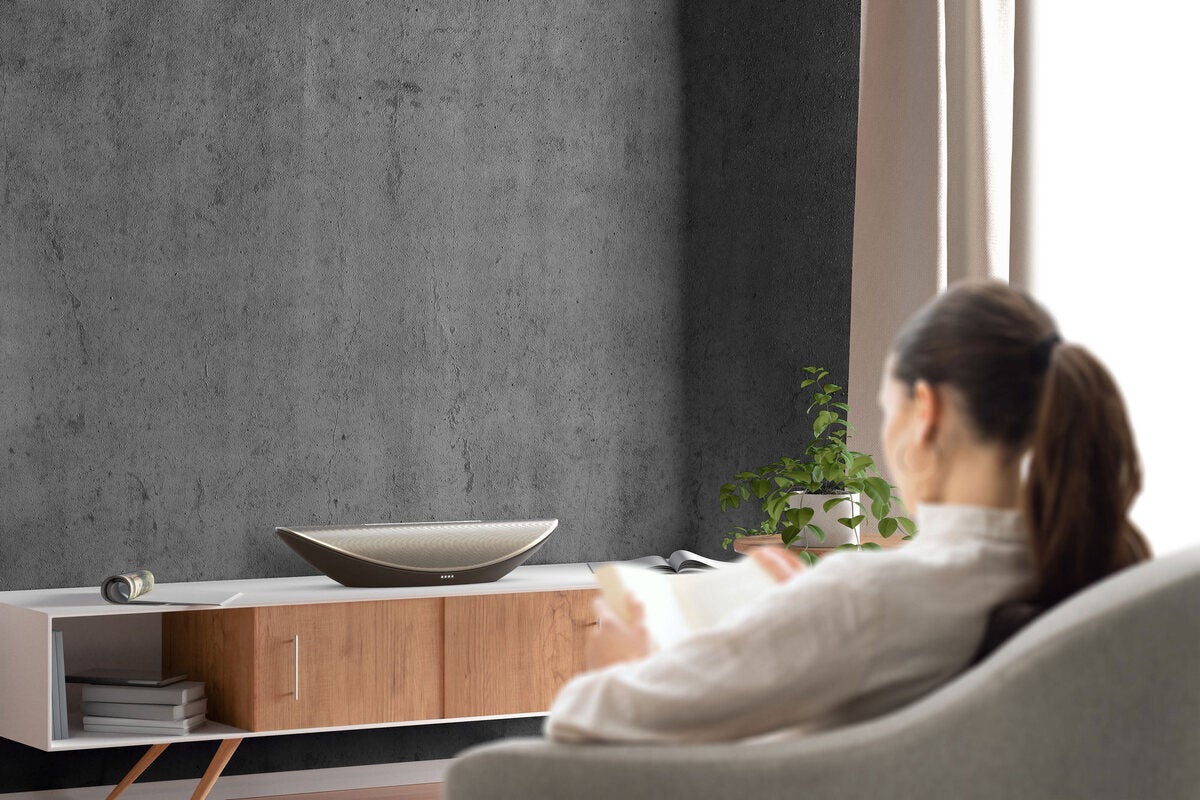 noise cancelling room speaker