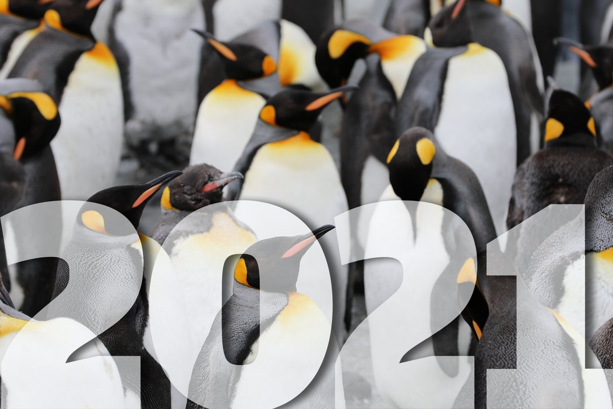 Image: 2021 New Year's resolutions for Linux users