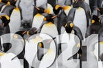 2021 New Year's resolutions for Linux users