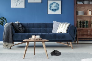moorebot scout living room