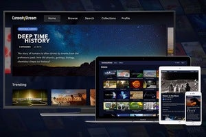 sale 162557 article image