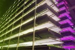 Feeding the World through Science