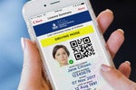 The journey to New South Wales’s digital driver’s licence and photo card