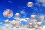 3 Trends Impacting Cloud Computing and Digital Transformation in 2021