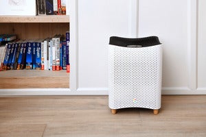 mila bookshelf