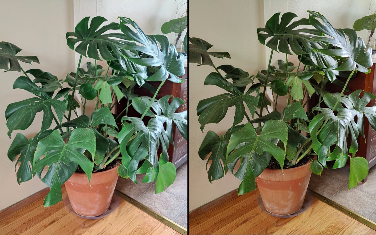 oneplus9pro vs 8pro monstera