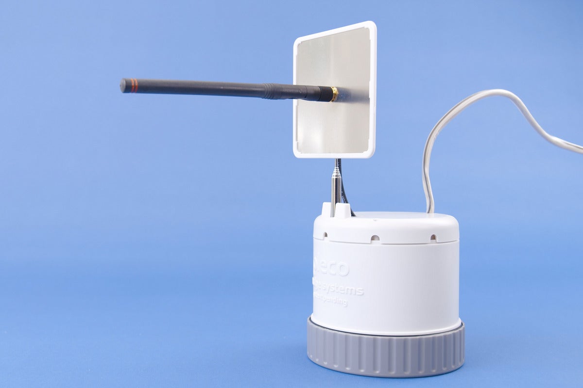pleco shell antenna