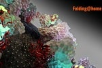 Crowdsourced Supercomputing in the Fight against COVID-19