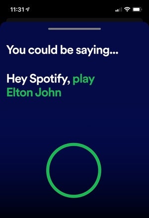 hey spotify voice search