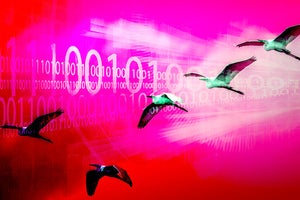 13 secrets of a successful cloud ERP migration