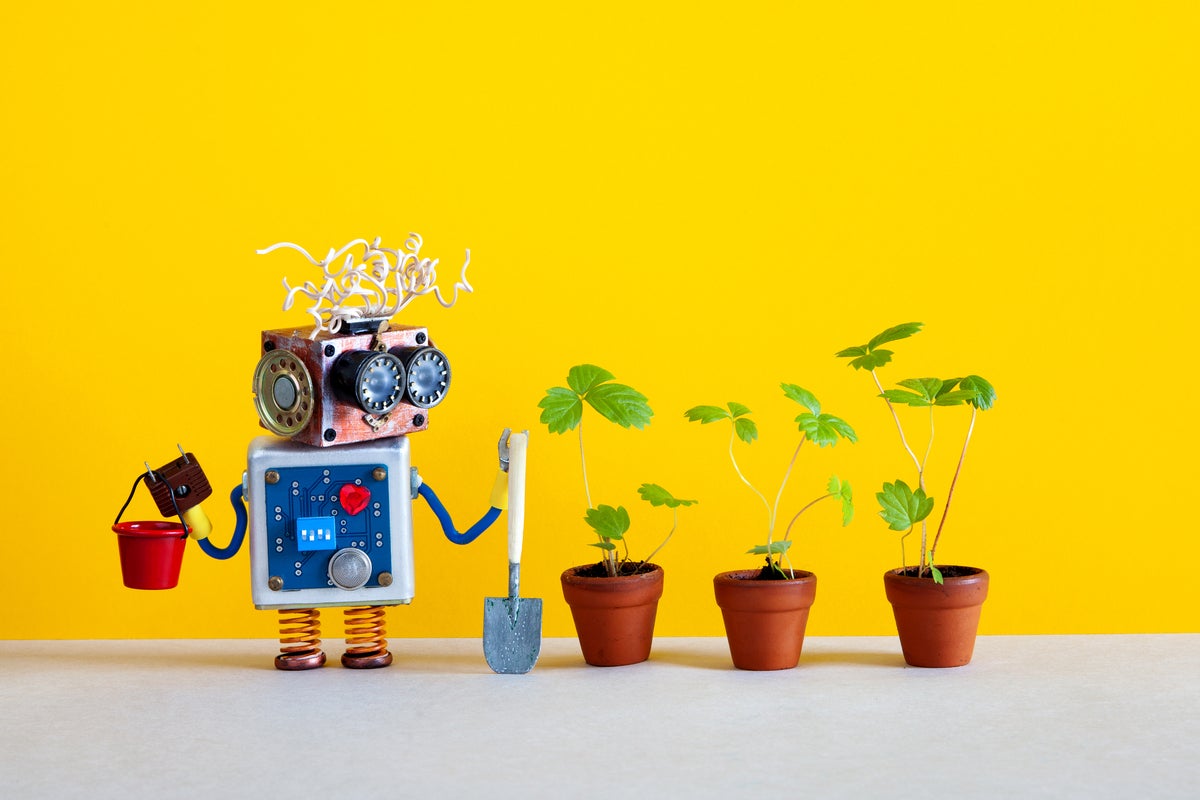 IDGConnect_AI_artificialintelligence_gardening_shutterstock_1469361731_1200x800