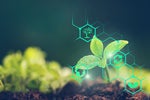 The agritech revolution