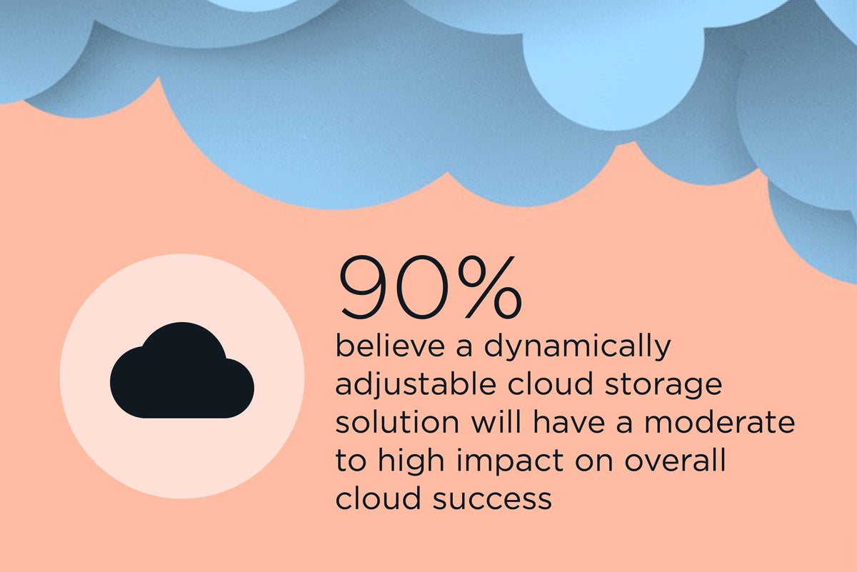 netapp cioinfogrx 032421 3
