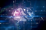 5 Dutch AI companies transforming finance, healthcare, and agriculture