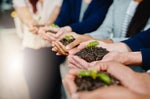 Making Corporate Sustainability … Sustainable