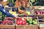 Farmula: Creating B2B digital infrastructure to connect farmers to buyers in Africa