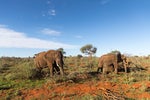 Is there life after Hadoop? The answer is a resounding yes.
