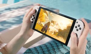 nintendo switch old