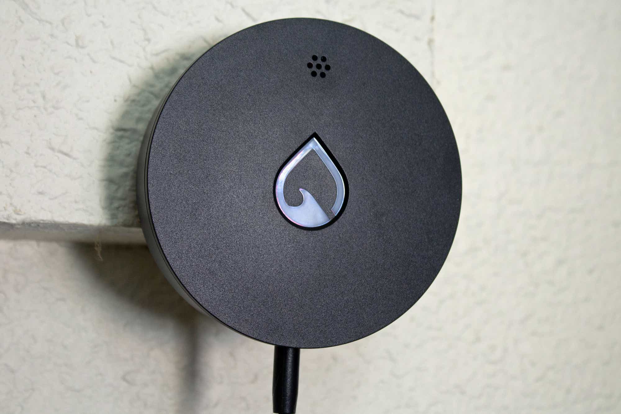 Renter's pick: Phyn Smart Water Sensor