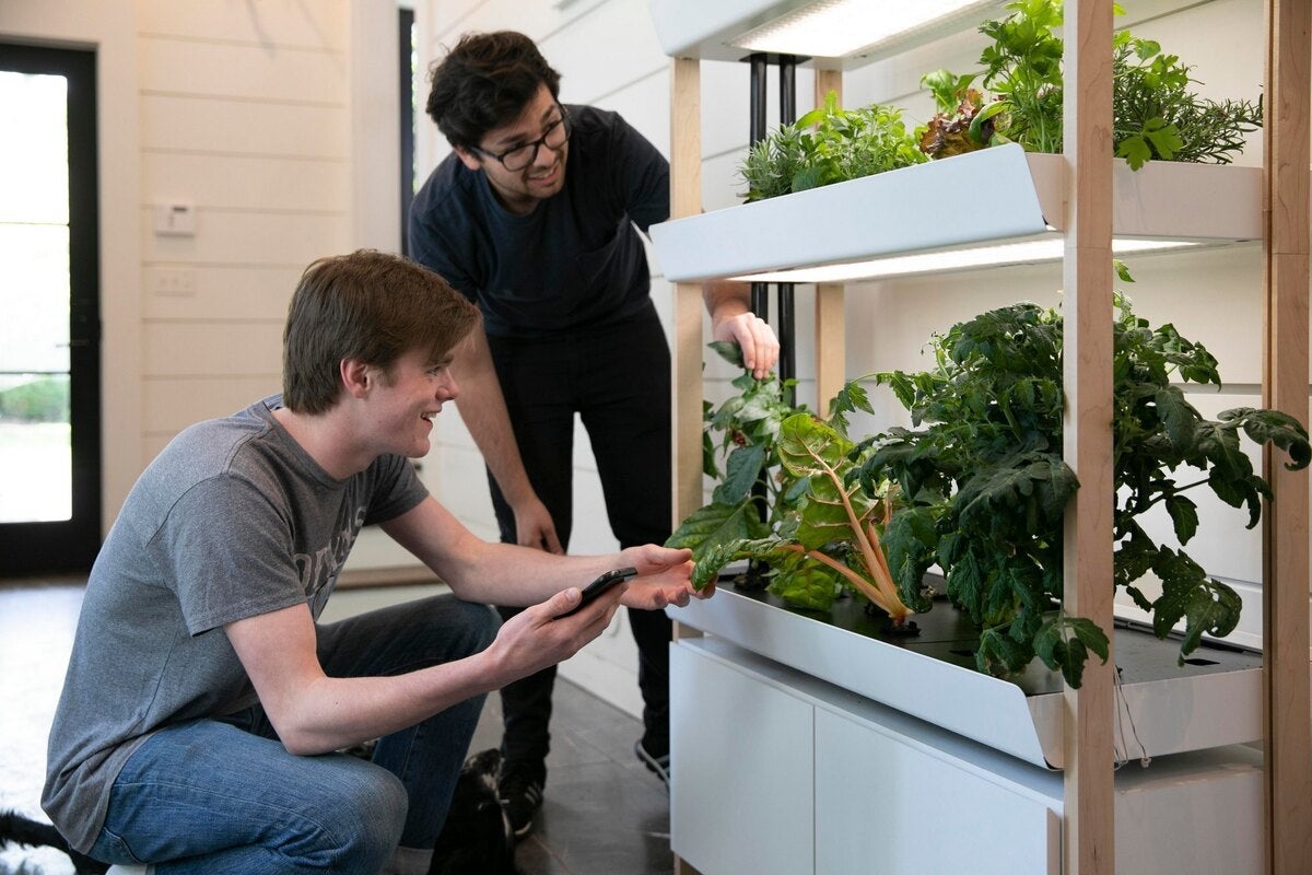 Rise Gardens Double Family Garden review: A smart indoor greenhouse