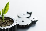 Equinix: Fostering a Commitment to Sustainability on Five Continents