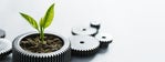 Equinix: Fostering a Commitment to Sustainability on Five Continents