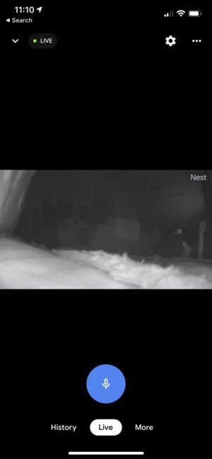 nest cam app night vision