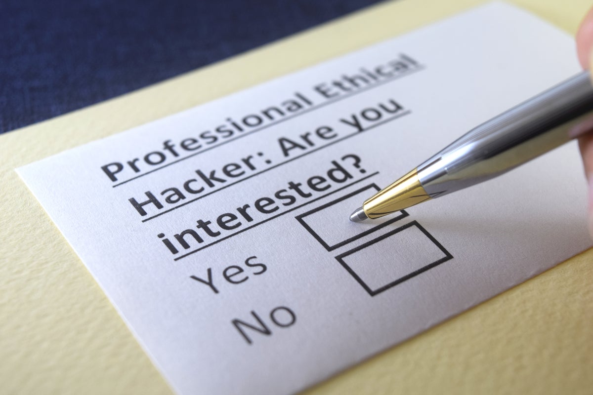 Professional ethical hacker: Are you interested? yes or no