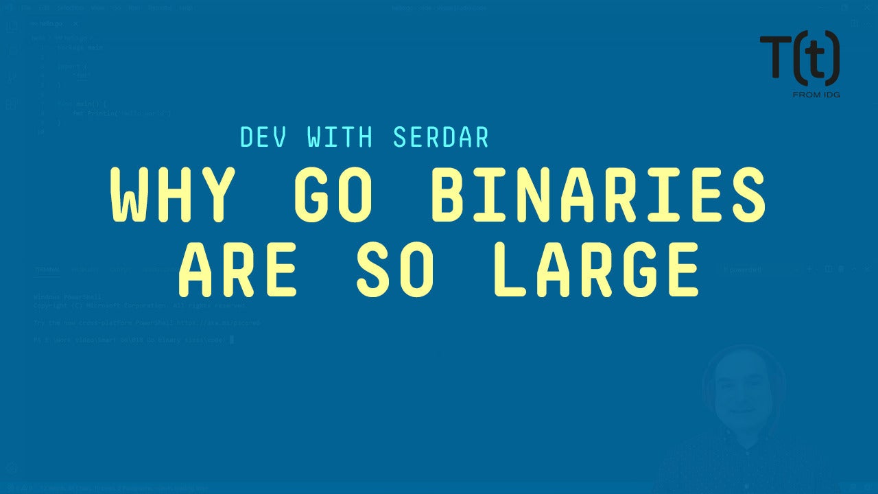 Image: Smart Go: Why Go binaries are so large (and what you can do about it)