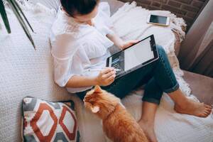 house connectivity and a cat light