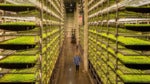 Growing the best plants possible with technology and innovation