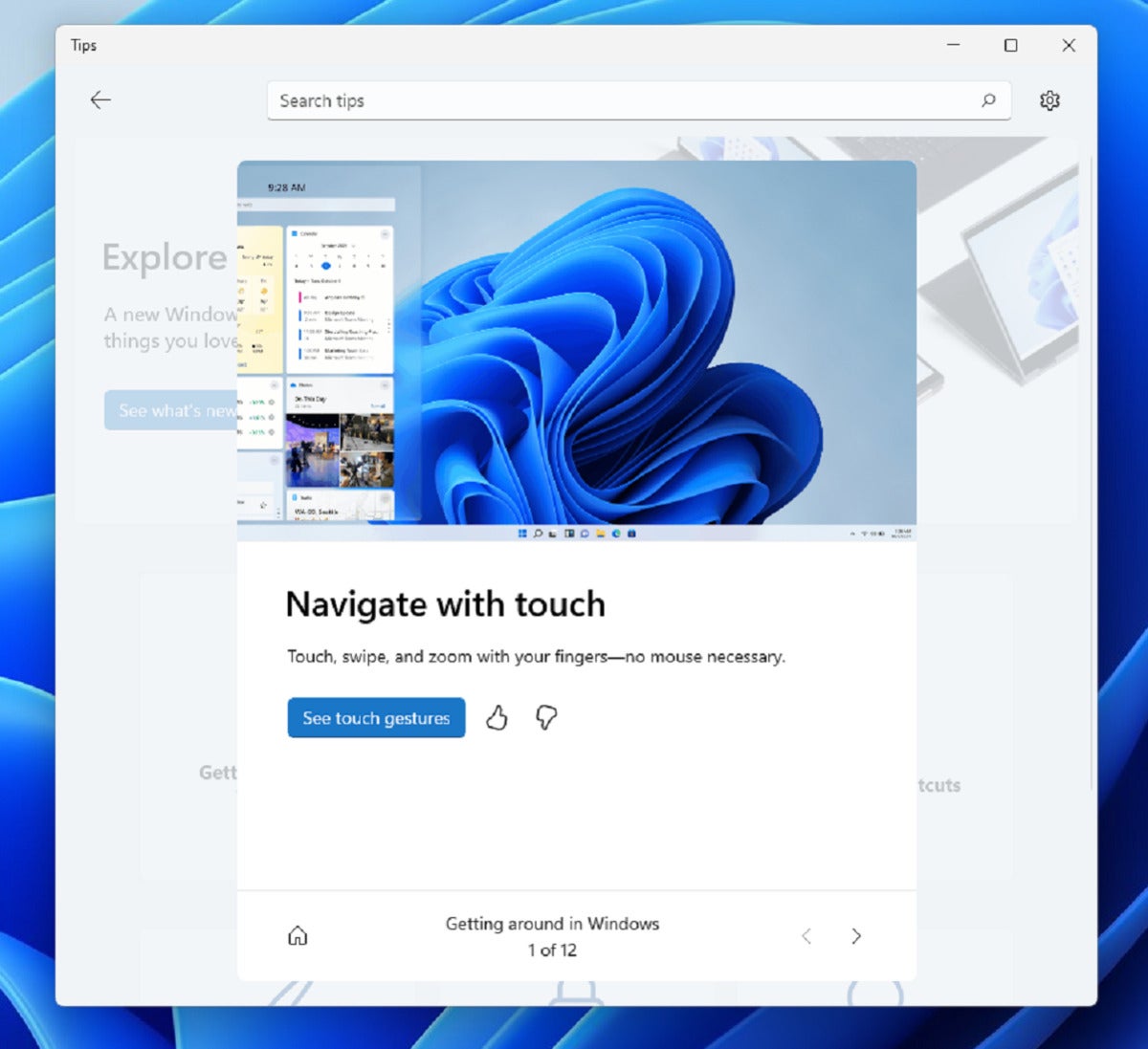 windows 11 tips app