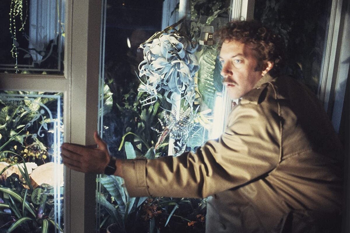 A scene from ‘Invasion of the Body Snatchers’